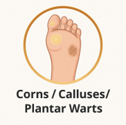 CORNS / CALLUSES/PLANTAR WARTS